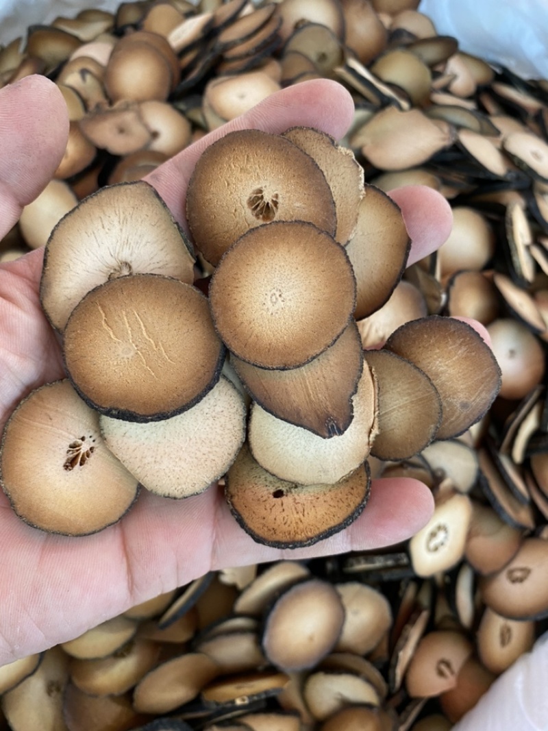 橘红片橘红果化州橘红大量批发各种规格