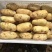 精选新土豆荷兰十五土豆，基地直发，大量供应可代发