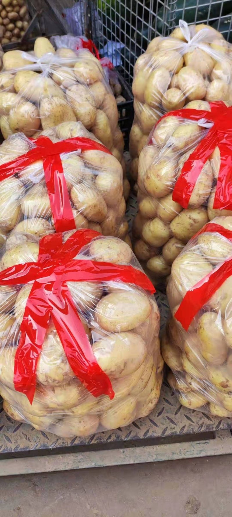 精选新土豆荷兰十五土豆，基地直发，大量供应可代发