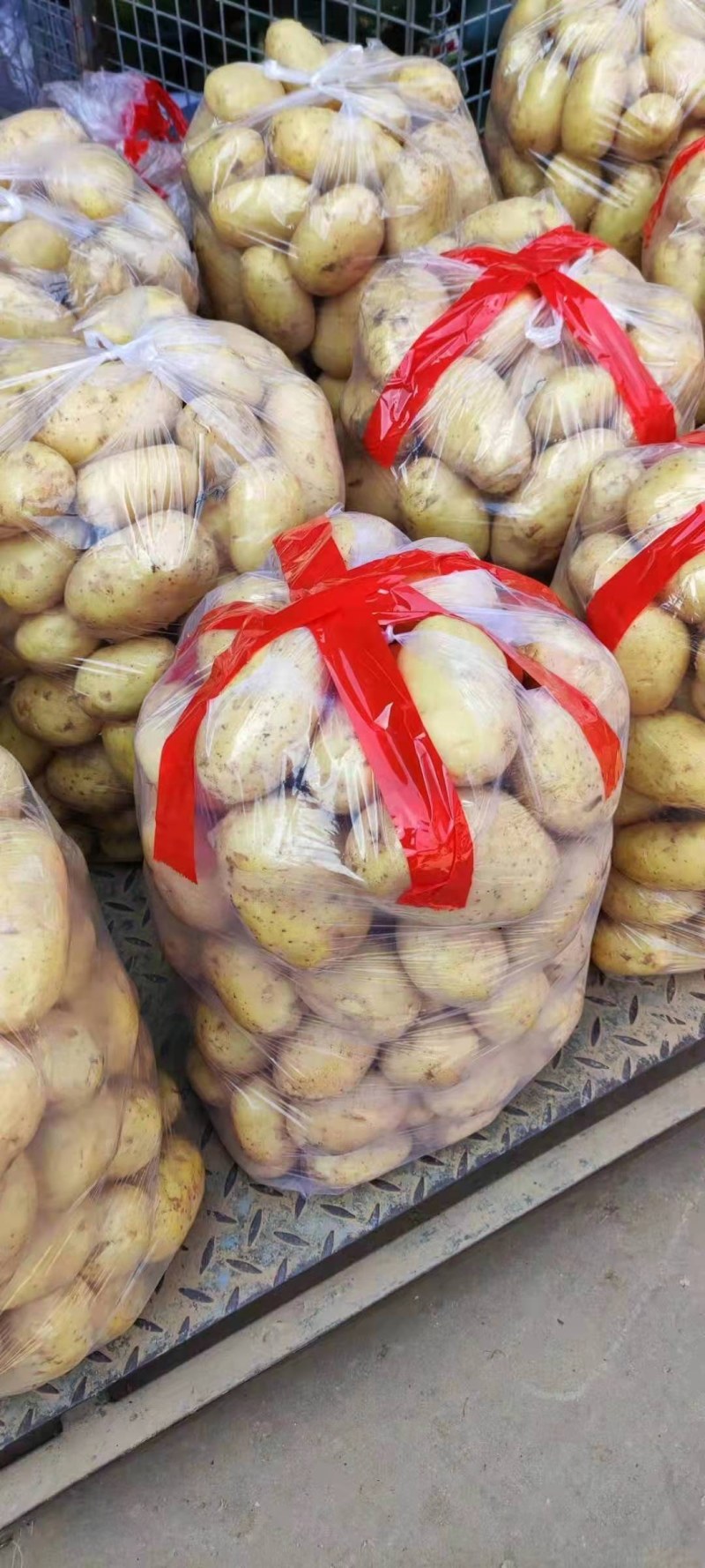 精选新土豆荷兰十五土豆，基地直发，大量供应可代发