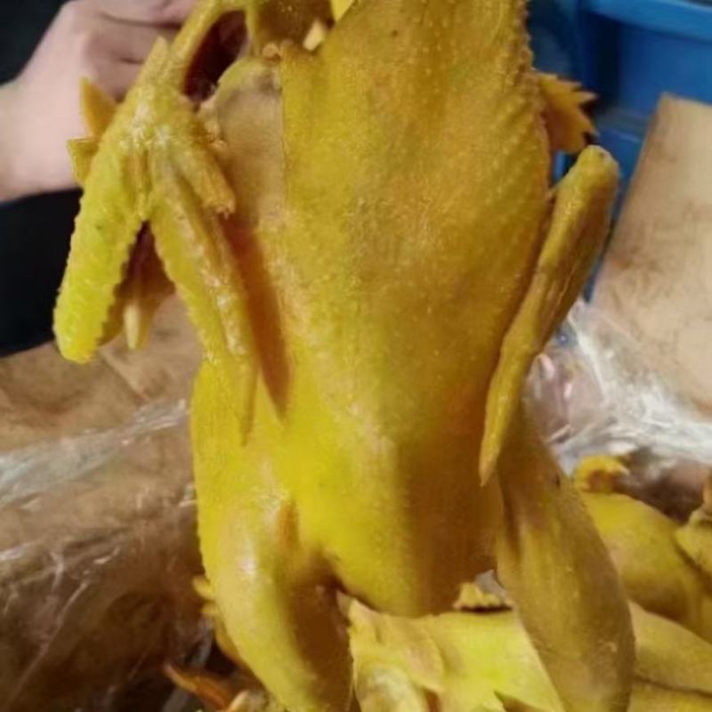盐焗鸡，成都批发，一件50斤，跑江湖展销会，一手货源