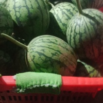 小吊瓜