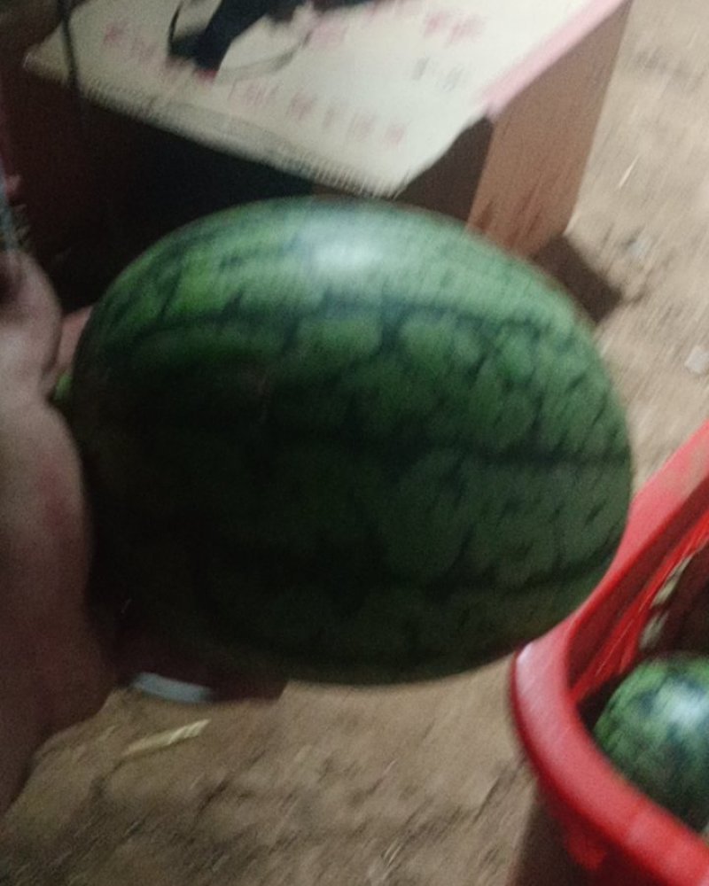 小吊瓜