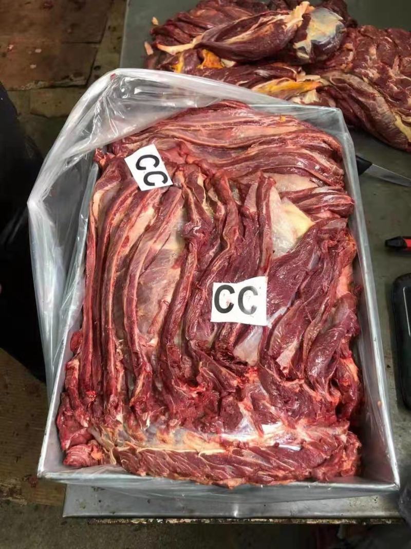 马肉蒙古国冻马肉四分五分体精修可视频看货一手货源基地直发