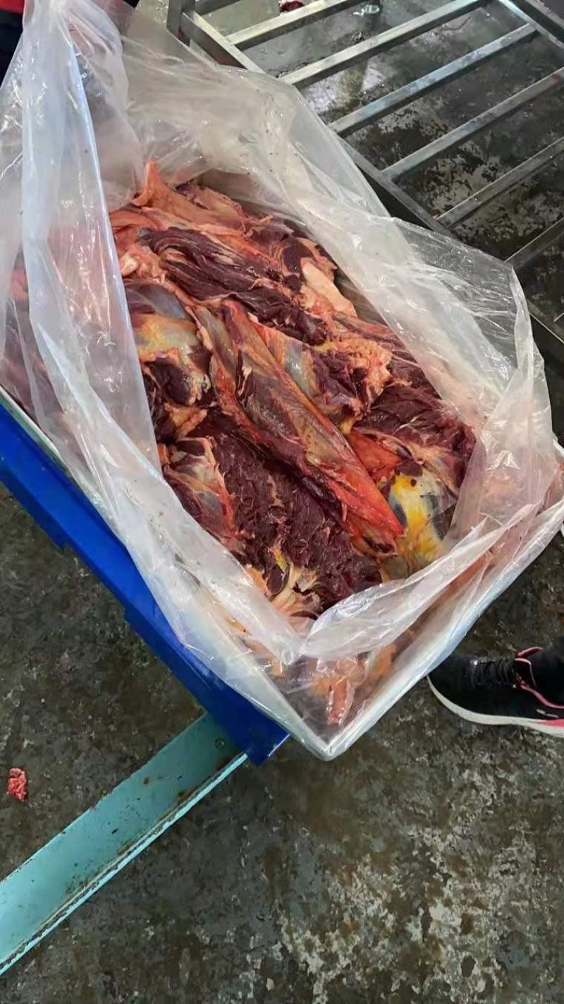 马肉蒙古国冻马肉四分五分体精修可视频看货一手货源基地直发