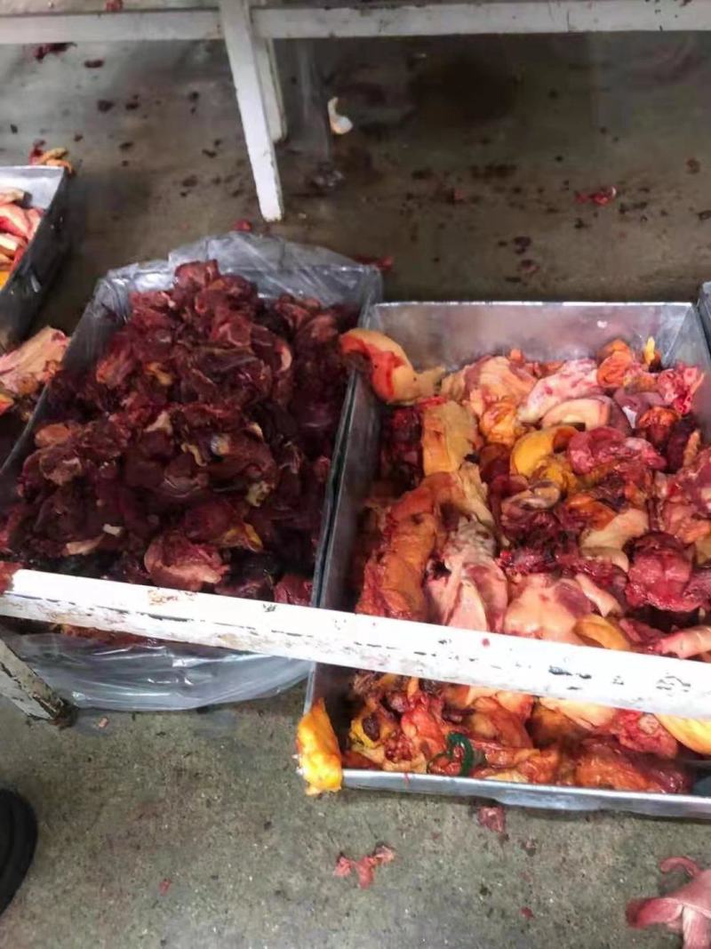 马肉蒙古国冻马肉四分五分体精修可视频看货一手货源基地直发