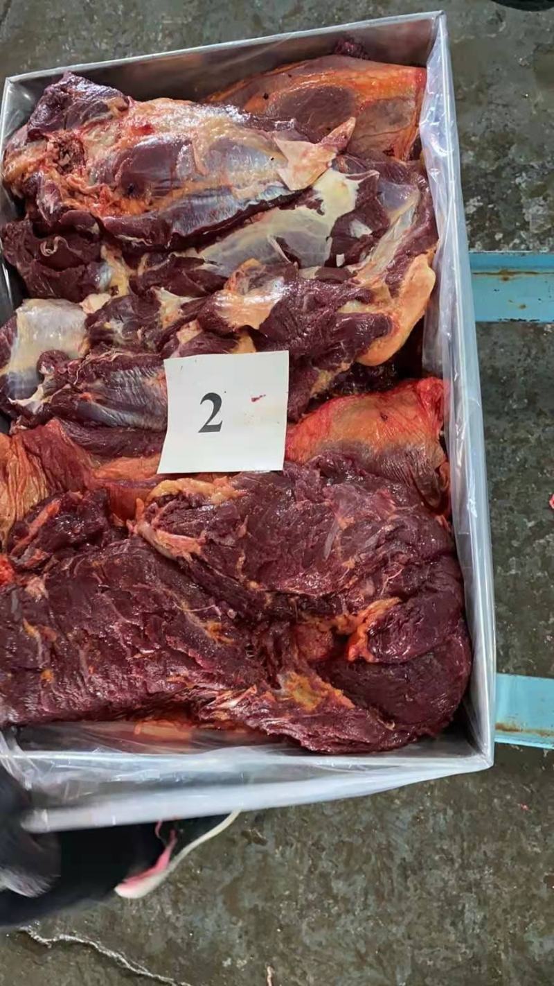 马肉蒙古国冻马肉四分五分体精修可视频看货一手货源基地直发