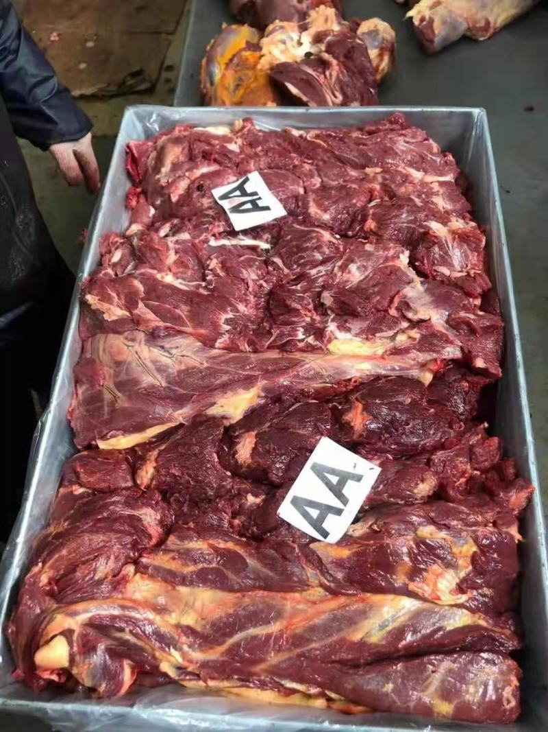 马肉蒙古国冻马肉四分五分体精修可视频看货一手货源基地直发