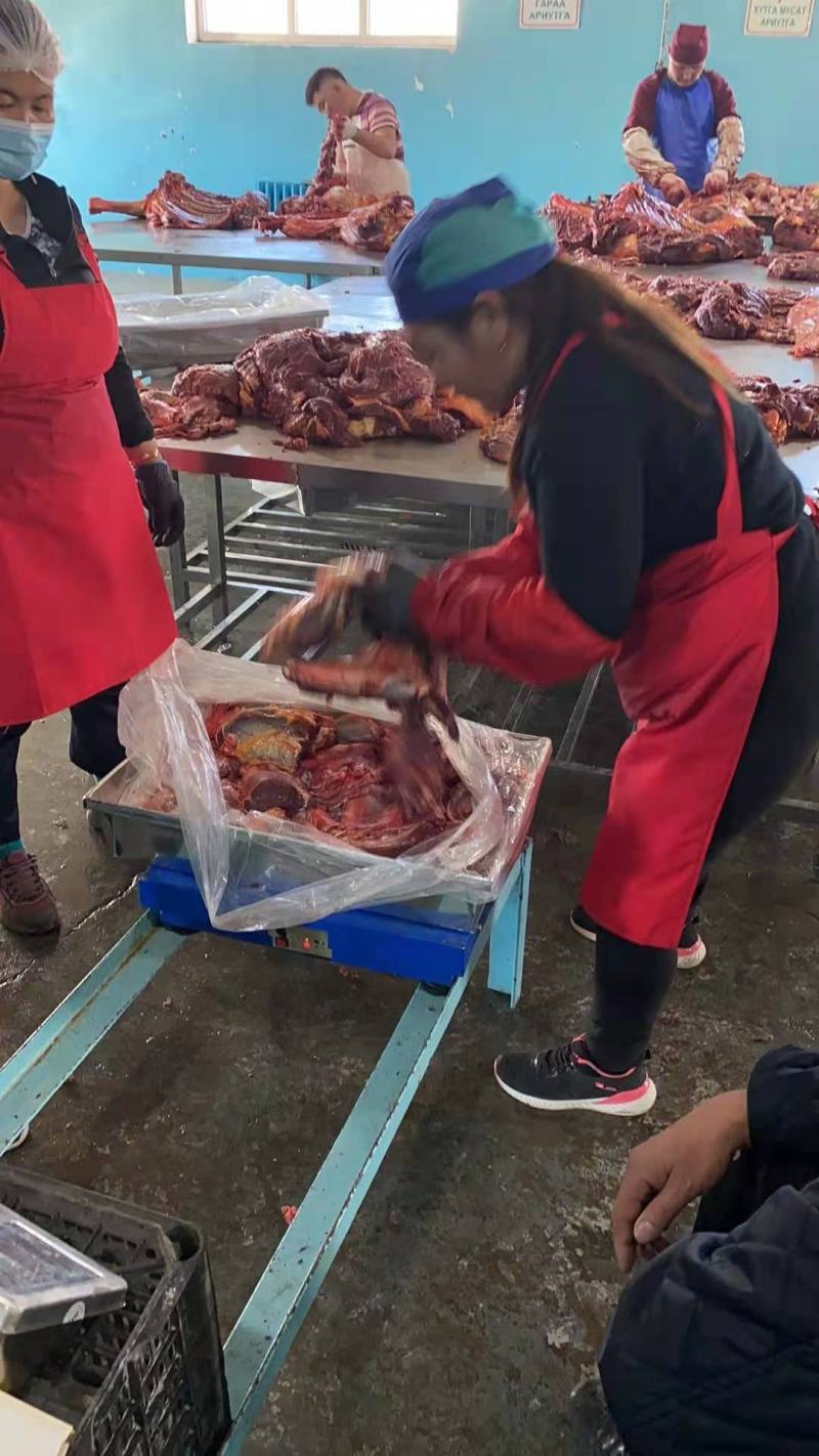 马肉蒙古国冻马肉四分五分体精修可视频看货一手货源基地直发