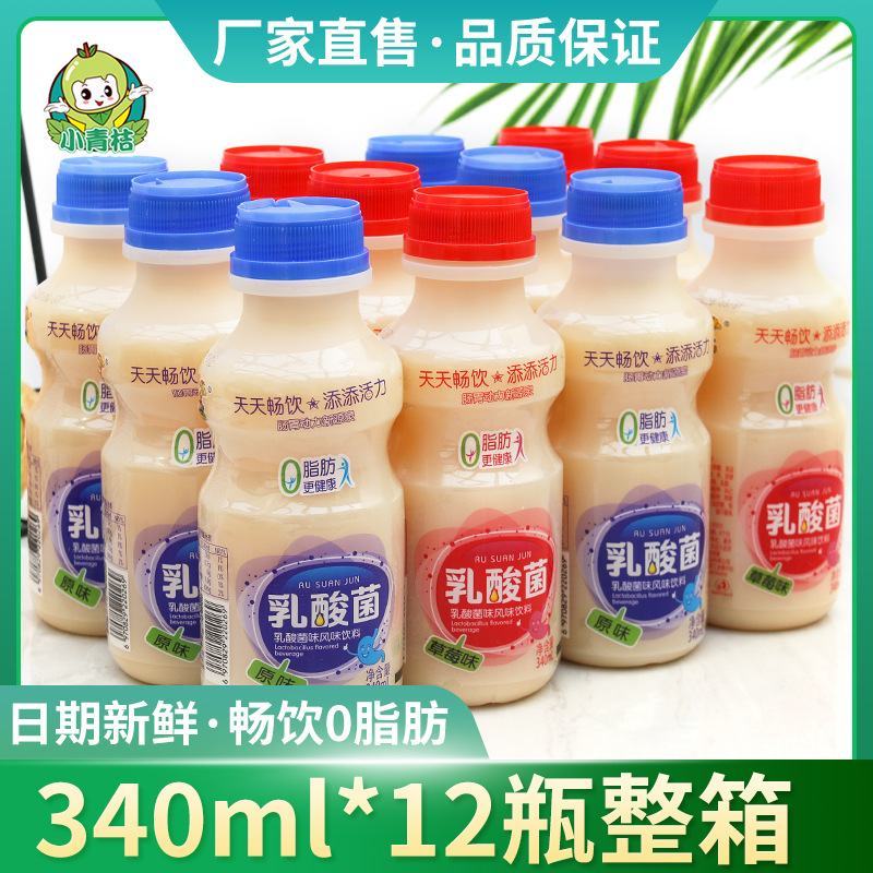 乳酸菌