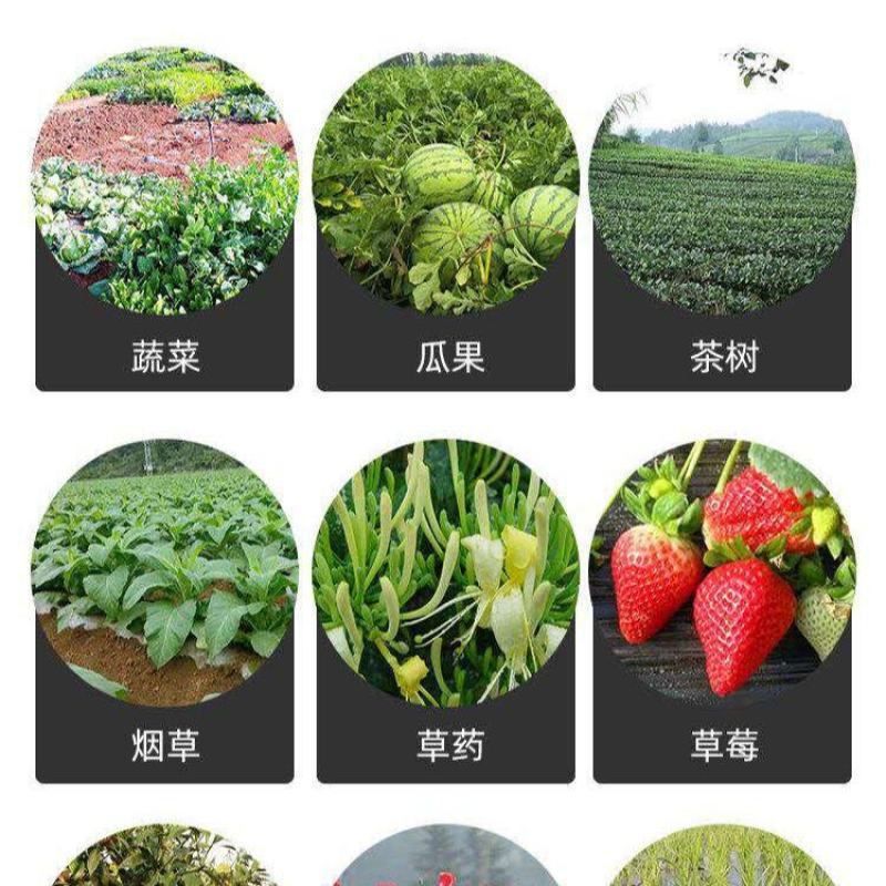 冲施肥哈茨木霉菌200亿/克抗死棵抗烂苗消除真菌
