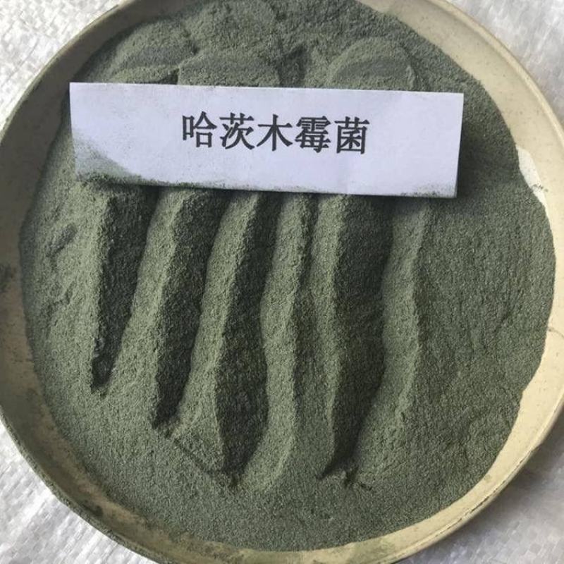 冲施肥哈茨木霉菌200亿/克抗死棵抗烂苗消除真菌