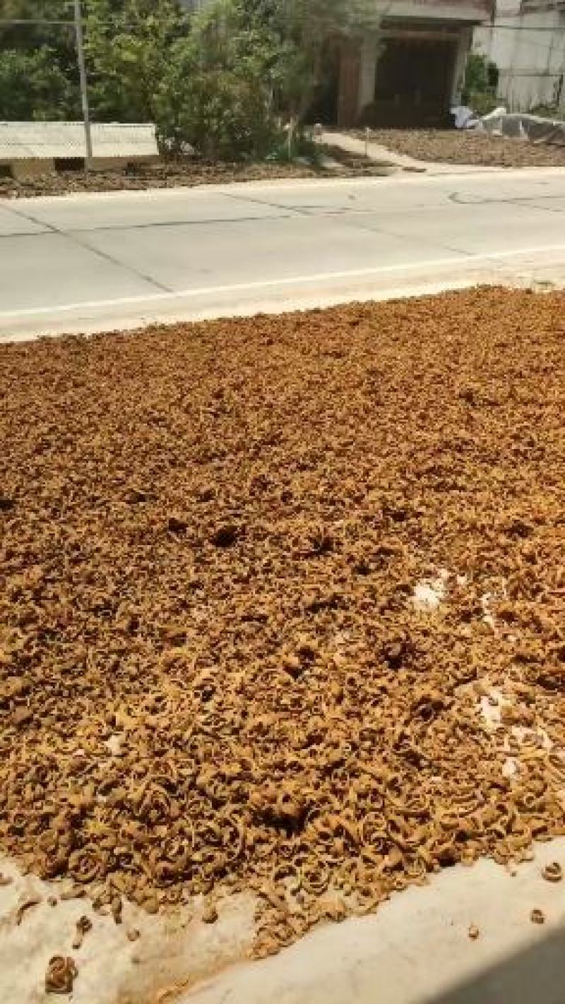 《产地直销》桂皮肉桂规格齐全货源充足量大从优