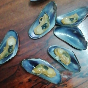 红螺蒸鸡蛋湛江红螺！！！！！！！！！！！！！！！！！！