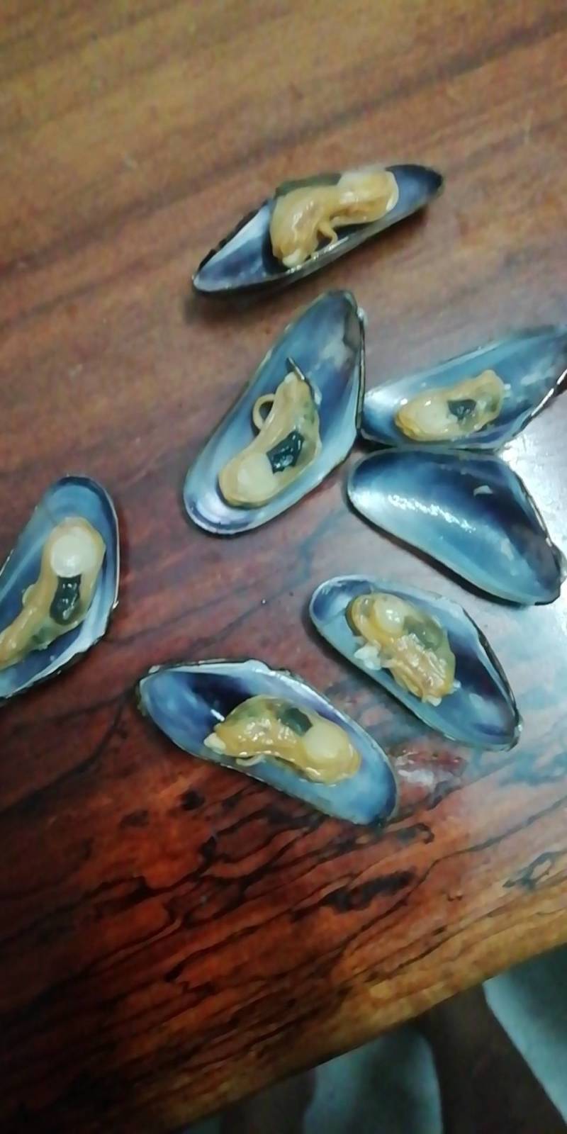 红螺蒸鸡蛋湛江红螺！！！！！！！！！！！！！！！！！！