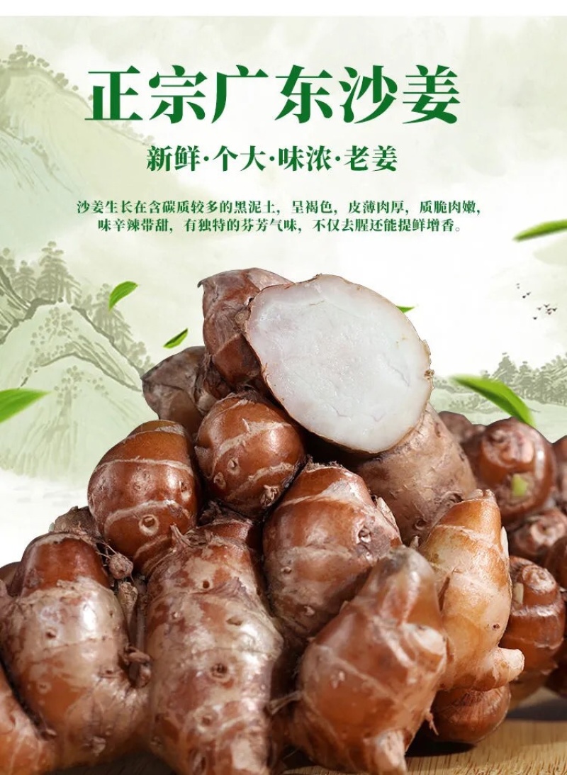 正宗广东沙姜大量现货电商一件代发
