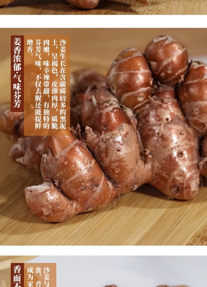 正宗广东沙姜大量现货电商一件代发