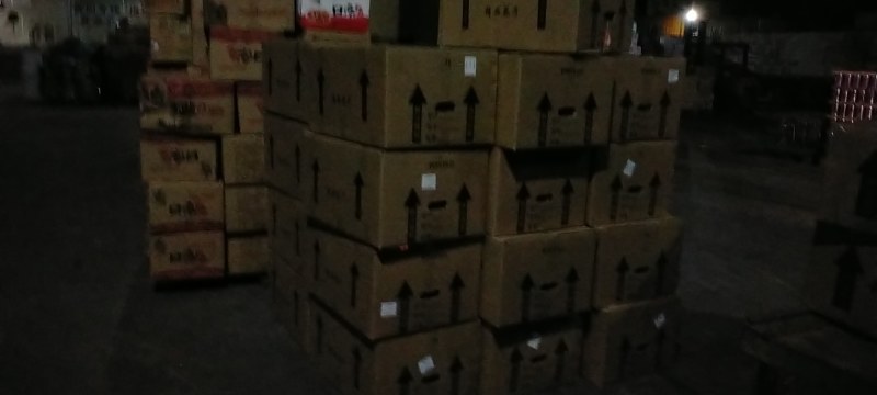 君子兰皱叶圆叶多种规格可供选择