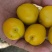 珍珠油杏上市了