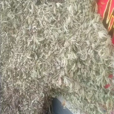 干艾叶人工收割，人工挑选干净无杂