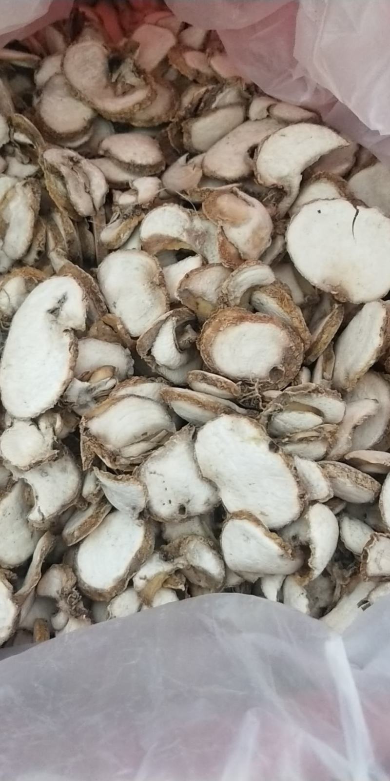 浙贝母家种小统个，贝母片，药厂大货，欢迎选购。
