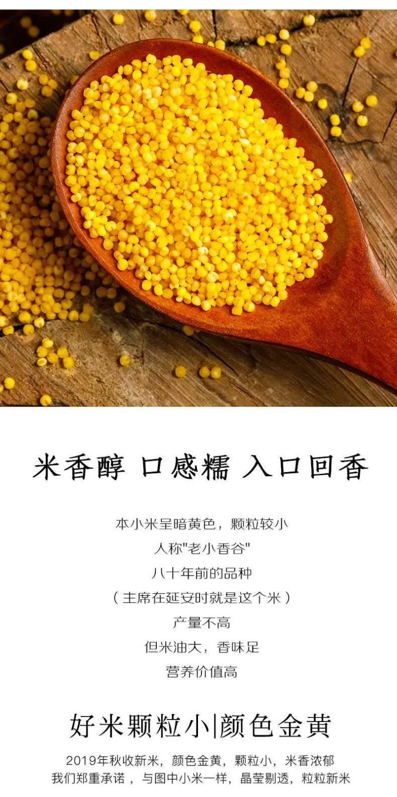 来自陕西的延安小米