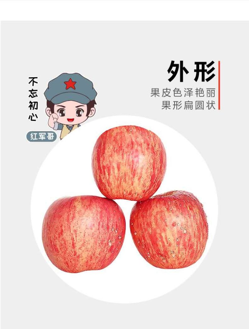 陕西省正宗延安红富士苹果