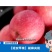 陕西省正宗延安红富士苹果