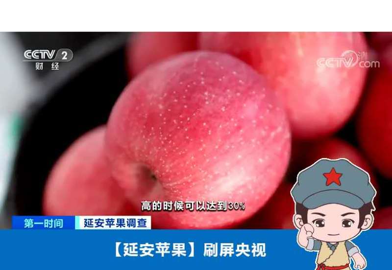 陕西省正宗延安红富士苹果