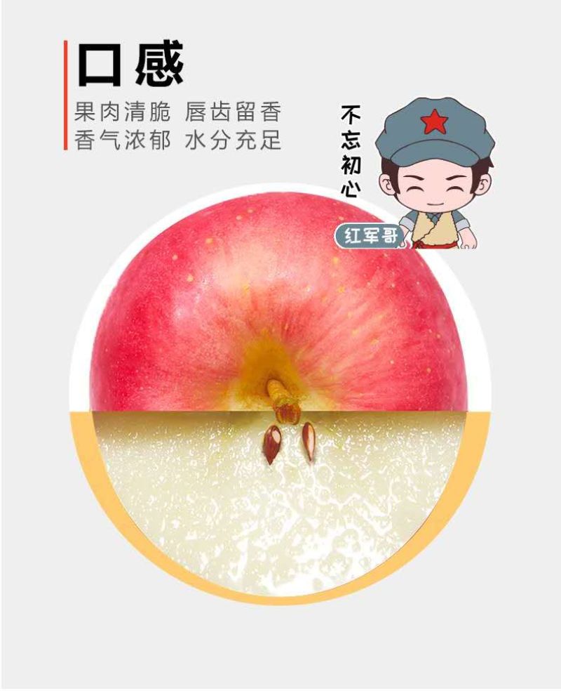 陕西省正宗延安红富士苹果