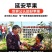 陕西省正宗延安红富士苹果