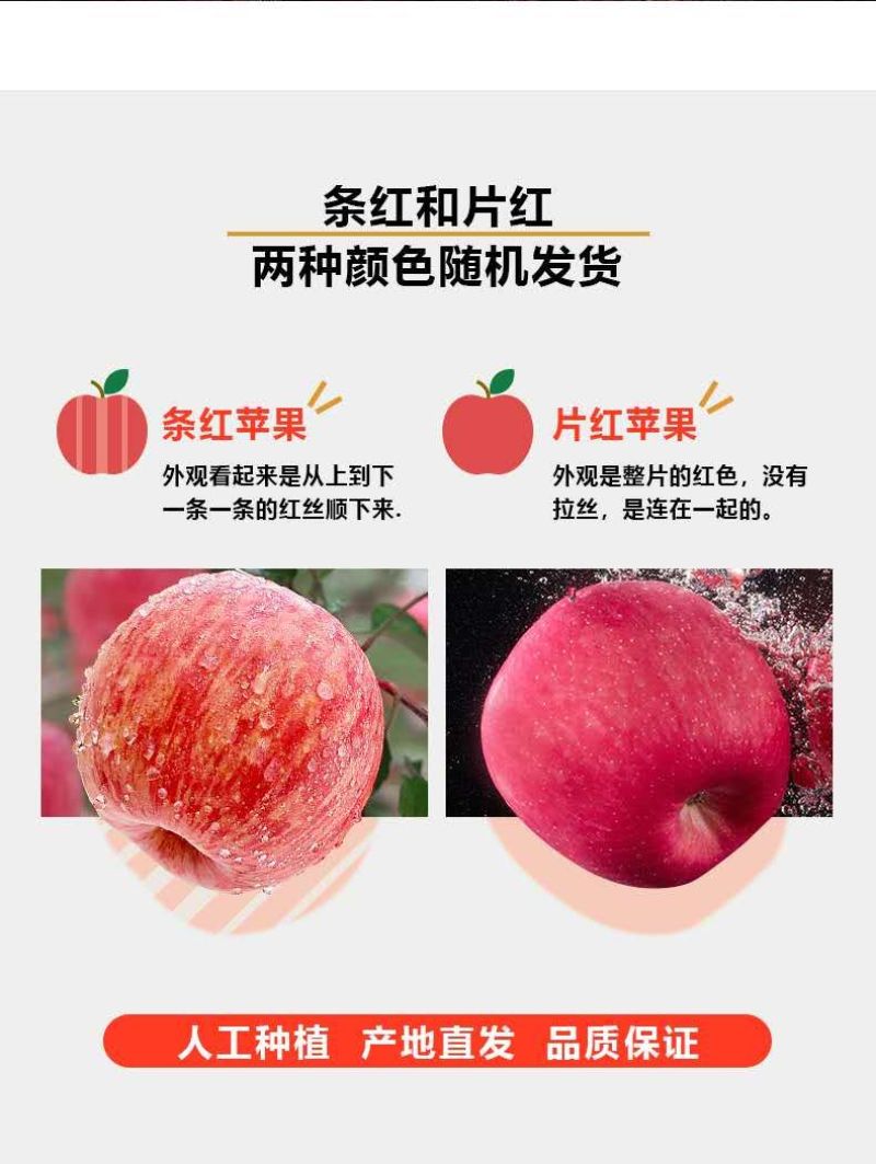 陕西省正宗延安红富士苹果