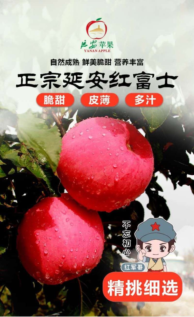 陕西省正宗延安红富士苹果
