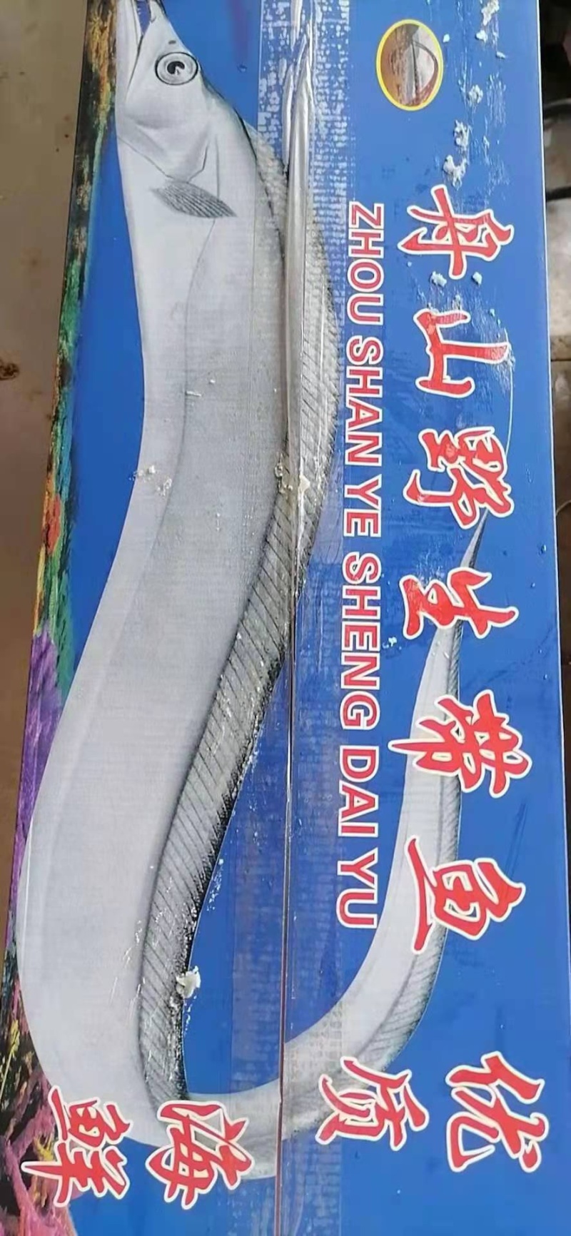 舟山带鱼冷冻带鱼精品礼盒厂家直发无中间商供应电商市场