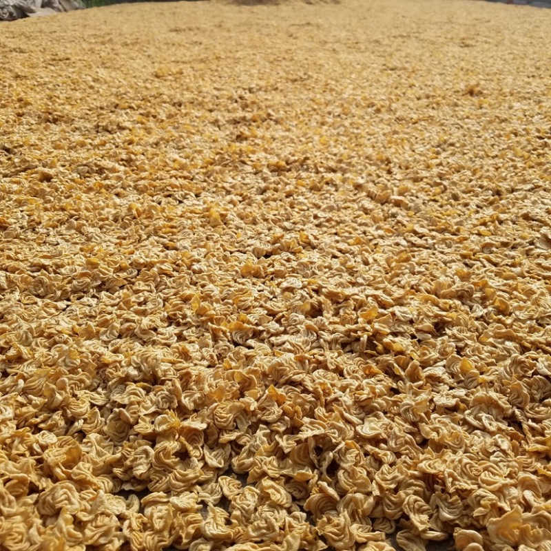 豆制品大豆耳厂家直销批发零售花翅猫耳