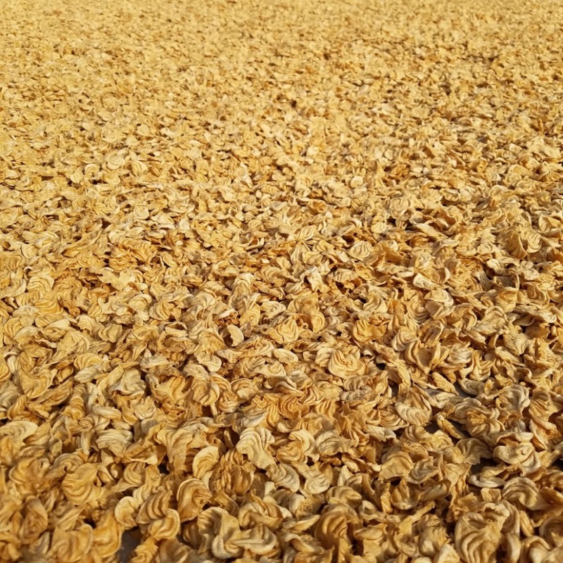 豆制品大豆耳厂家直销批发零售花翅猫耳