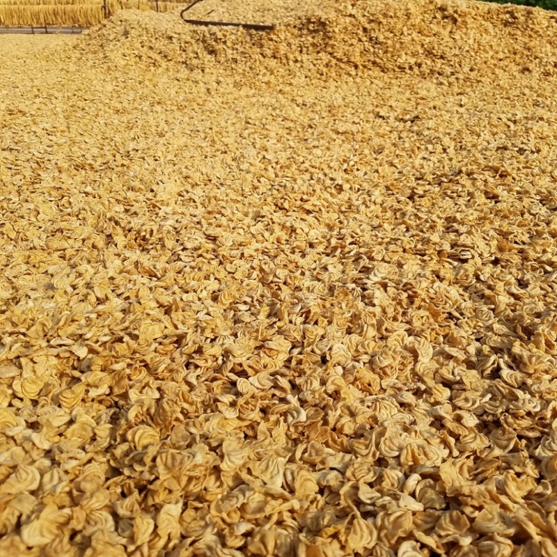 豆制品大豆耳厂家直销批发零售花翅猫耳