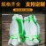 【豆角专用爬藤网】荷兰豆豌豆长豆角扁豆四季豆种植攀爬网