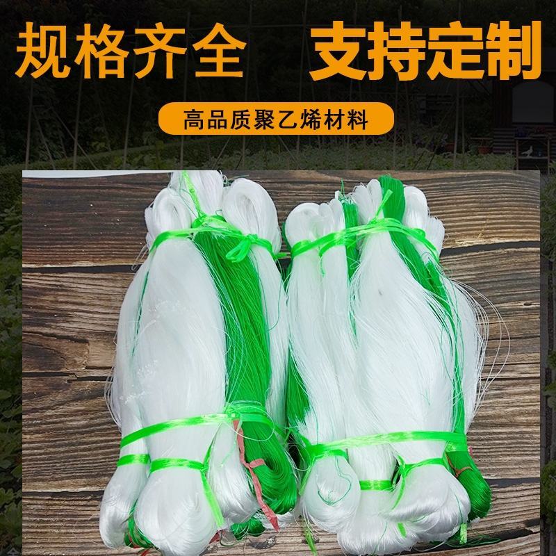 【豆角专用爬藤网】荷兰豆豌豆长豆角扁豆四季豆种植攀爬网