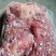 西门塔尔公牛肉