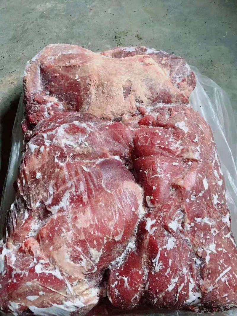 西门塔尔公牛肉