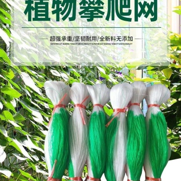 细六股豆角类用网山药网荷兰豆芸豆网爬藤网种植网攀爬网