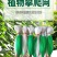 细六股豆角类用网山药网荷兰豆芸豆网爬藤网种植网攀爬网