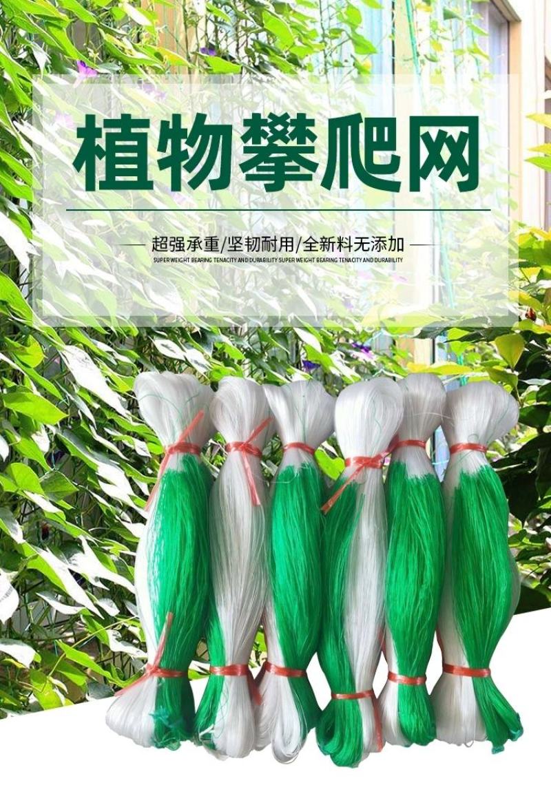 细六股豆角类用网山药网荷兰豆芸豆网爬藤网种植网攀爬网