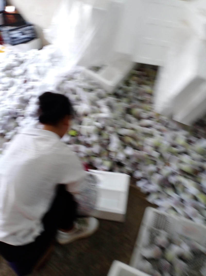 无花果自家百亩果园现采现发