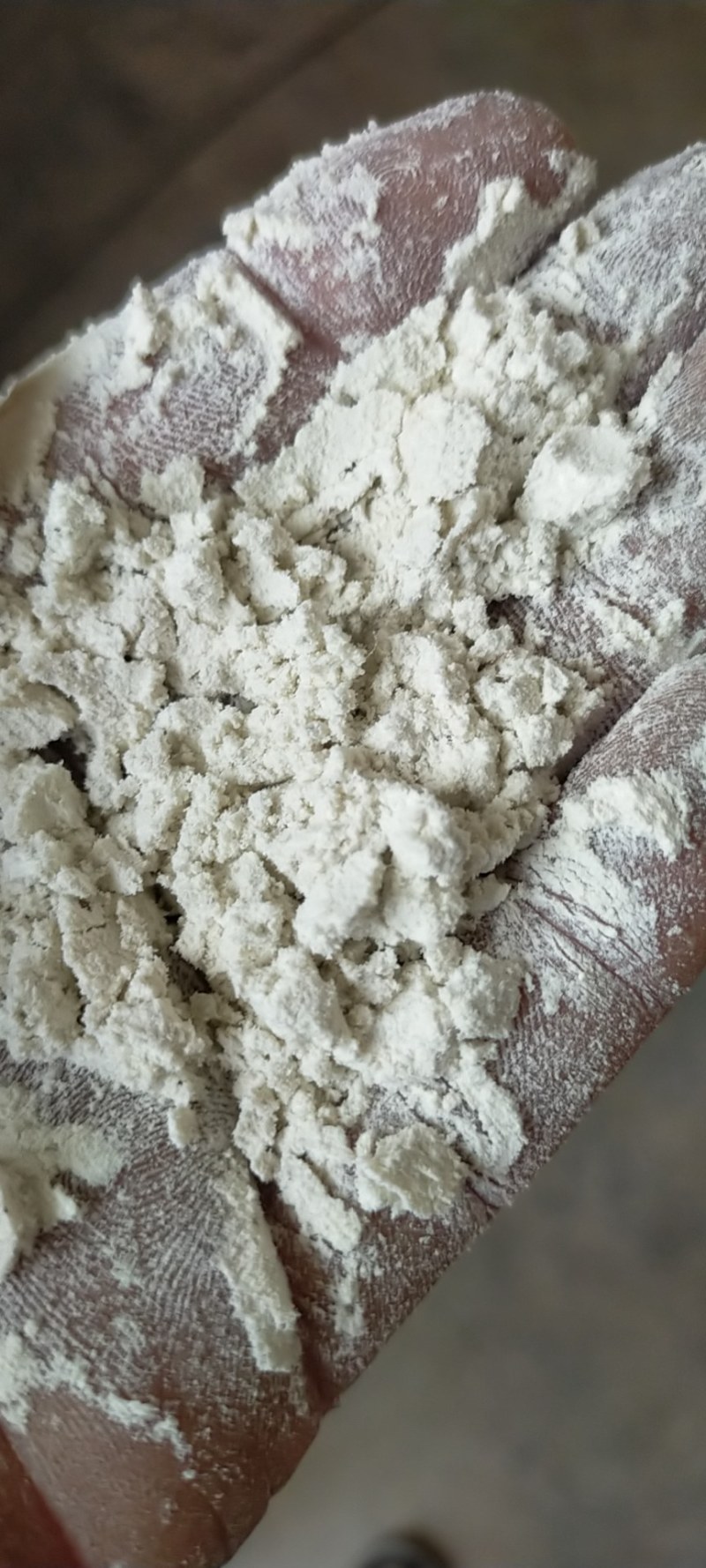 饲料
