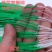 【粗六股加粗线爬藤网】4米100米黄瓜苦瓜丝瓜专用网攀爬