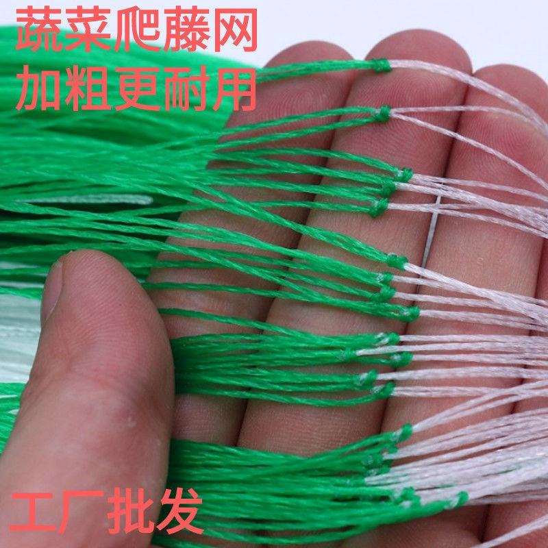 【粗六股加粗线爬藤网】4米100米黄瓜苦瓜丝瓜专用网攀爬