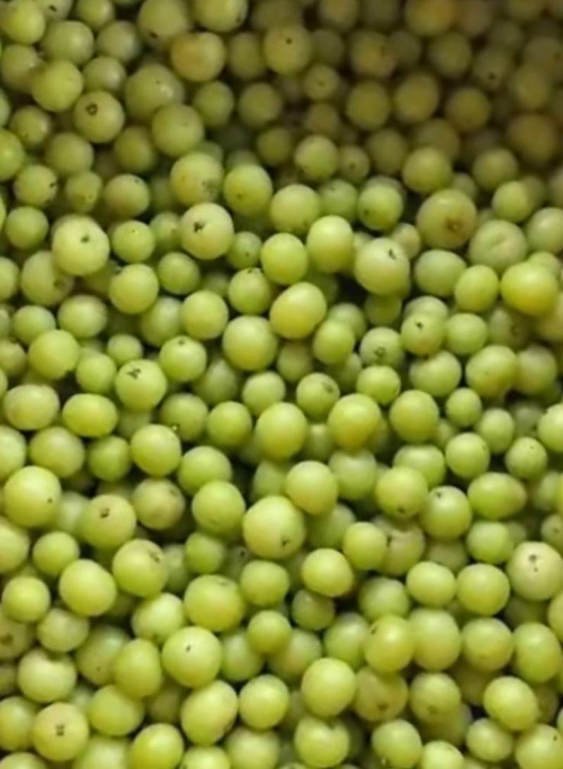 油甘子供应