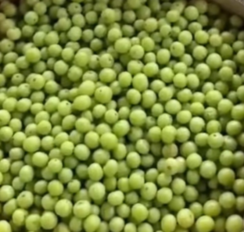 油甘子供应